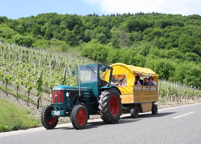 Komfort Fewo74-2 Apartamento