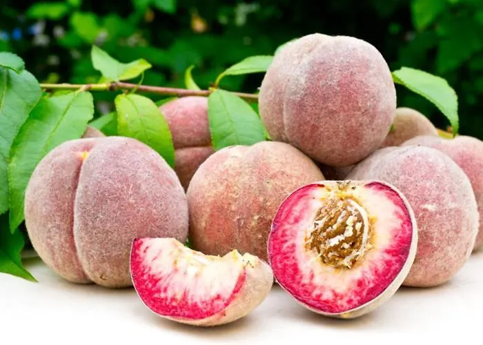 Komfort Fewo74-2 Bremm