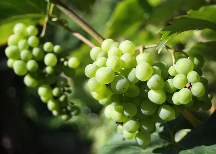 Komfort Fewo74-2 Apartamento *