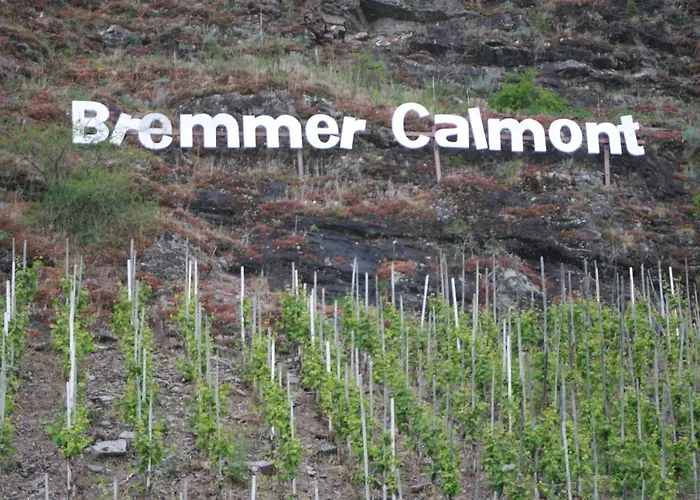 Komfort Fewo74-2 Bremm